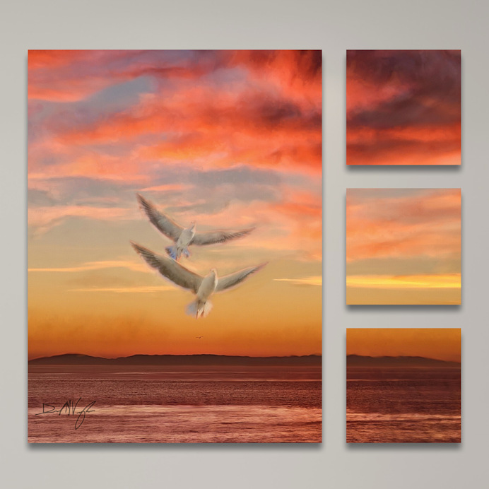 Seagulls Together As One artwork